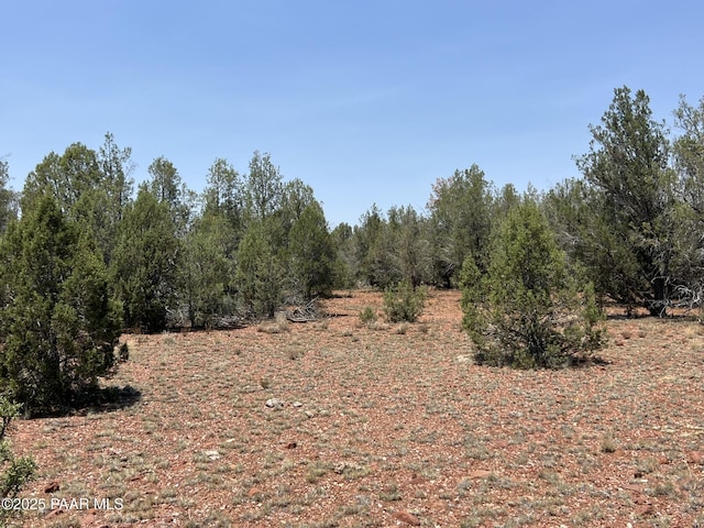 164 Rattlesnake Rd, Ash Fork, AZ 86320 - photo 2
