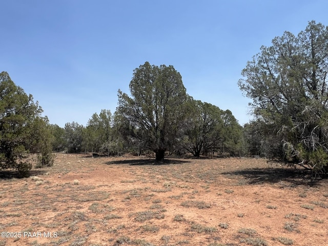 164 Rattlesnake Rd, Ash Fork, AZ 86320 - photo 10