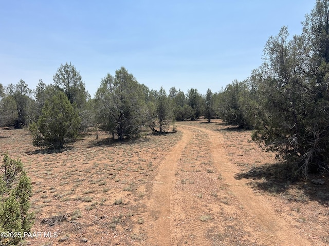 164 Rattlesnake Rd, Ash Fork, AZ 86320 - photo 7