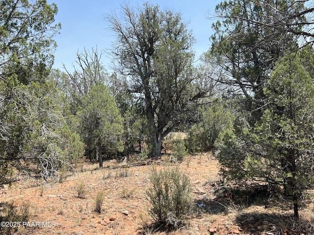 164 Rattlesnake Rd, Ash Fork, AZ 86320 - photo 17