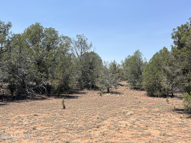 164 Rattlesnake Rd, Ash Fork, AZ 86320 - photo 15