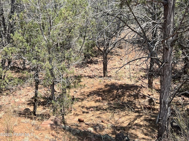 164 Rattlesnake Rd, Ash Fork, AZ 86320 - photo 16