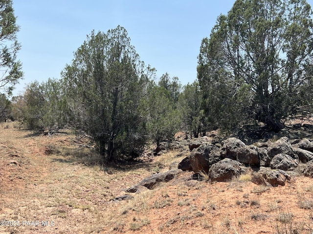 164 Rattlesnake Rd, Ash Fork, AZ 86320 - photo 20