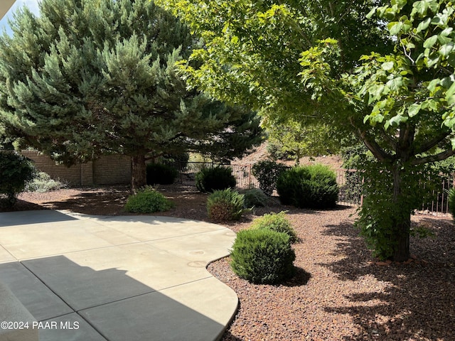 view of yard featuring a patio area