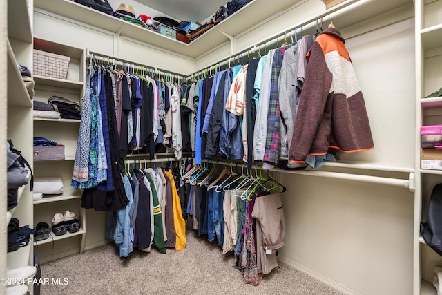 walk in closet featuring carpet flooring