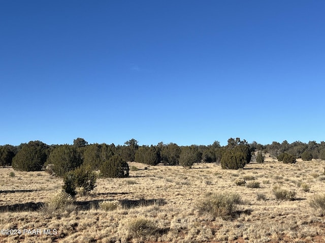 202SW4 Denny 5 Rd, Seligman AZ, 86337 land for sale