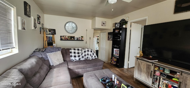 living room with dark hardwood / wood-style flooring and ceiling fan