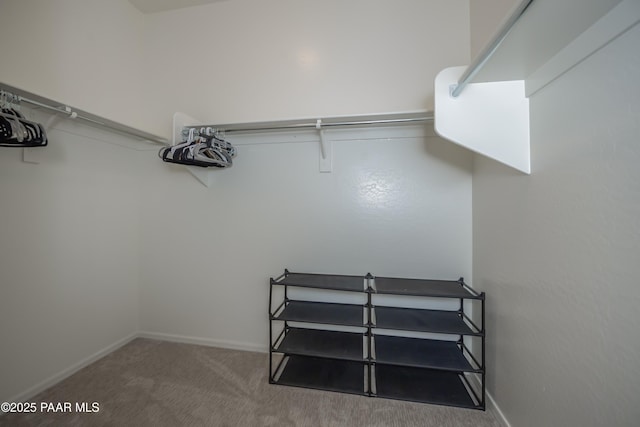 spacious closet with carpet