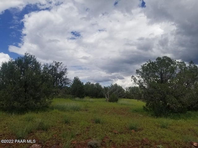 2271 W Roberts Rd, Williams, AZ 86046 - photo 4