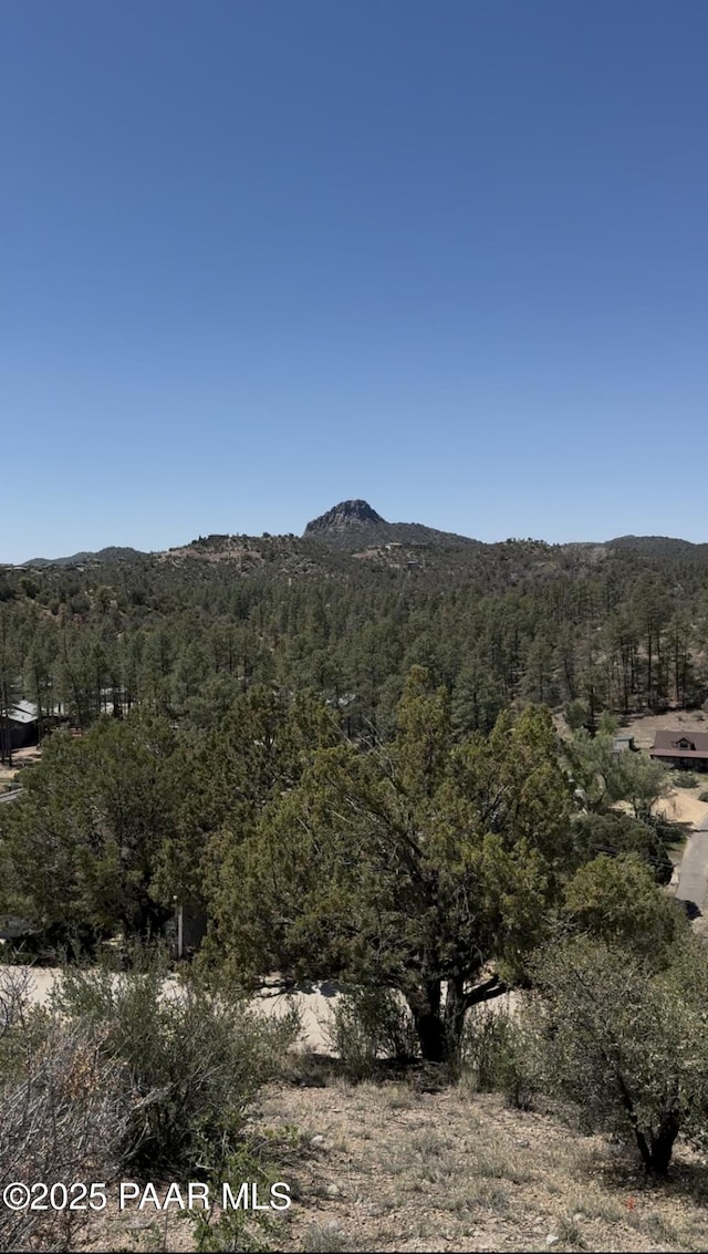 2309 Loma Vista Dr, Prescott, AZ 86305 - photo 11
