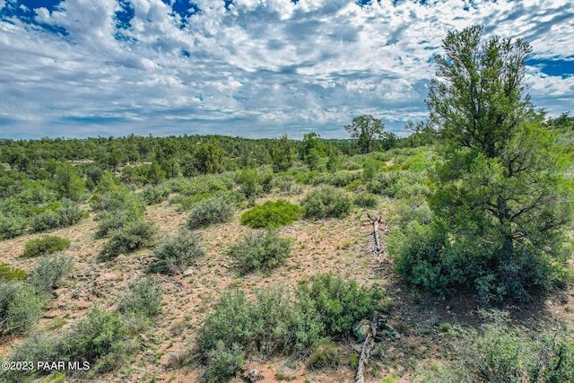 16751 N Top View Ln, Prescott, AZ 86305 - photo 4