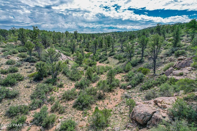 16751 N Top View Ln, Prescott, AZ 86305 - photo 5