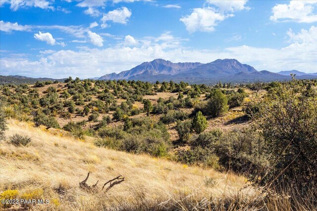 0 N Puntenney Rd, Prescott, AZ 86305 - photo 8