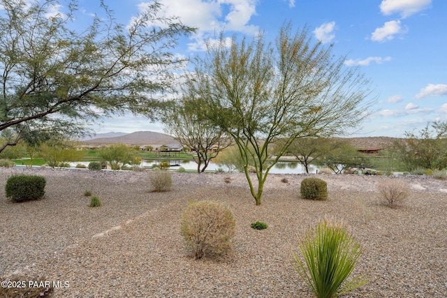 3227 Huckleberry Way, Wickenburg, AZ 85390 - photo 34