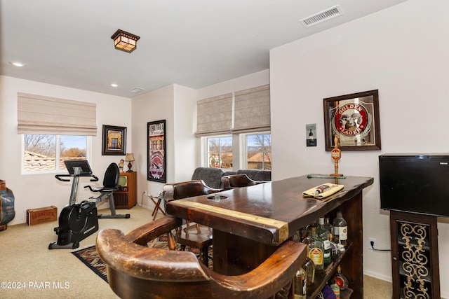 carpeted office space featuring a wealth of natural light