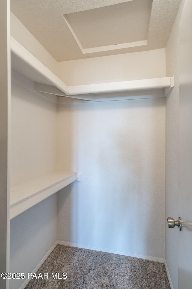 walk in closet with carpet floors