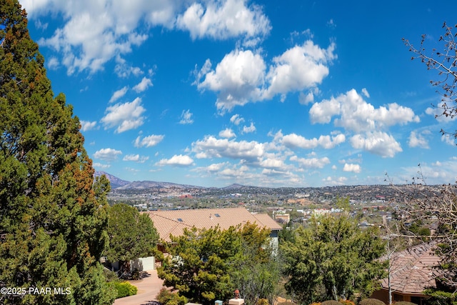 245 Summit Pointe Dr, Prescott, AZ 86303 - photo 39