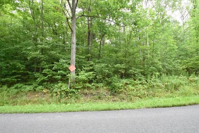 LOT7 Hibbard Rd, Horseheads NY, 14845 land for sale