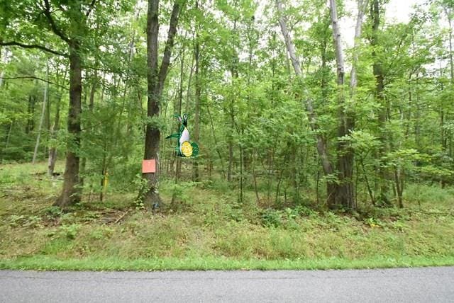 LOT8 Hibbard Rd, Horseheads NY, 14845 land for sale