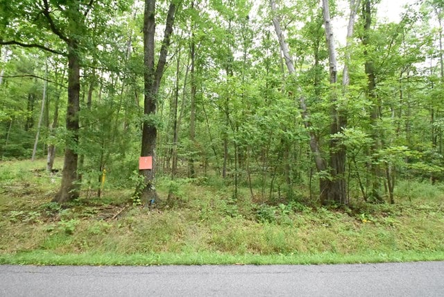 Listing photo 2 for LOT8 Hibbard Rd, Horseheads NY 14845