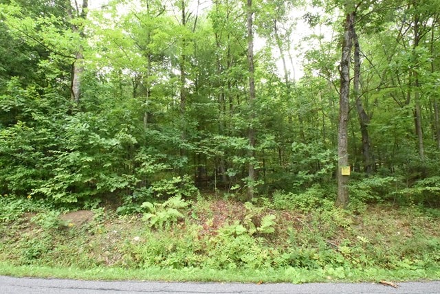 LOT12 Hibbard Rd, Horseheads NY, 14845 land for sale