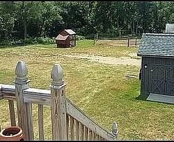 view of yard featuring an outdoor structure