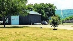 view of yard featuring an outdoor structure