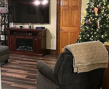 living room with dark hardwood / wood-style floors