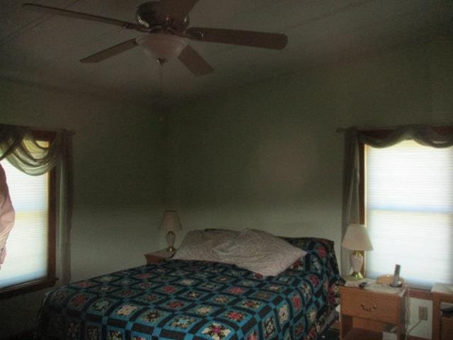 bedroom featuring ceiling fan