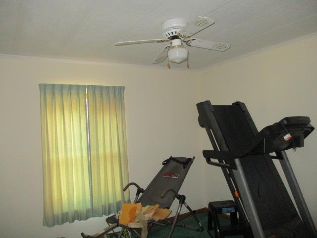 workout room with ceiling fan and crown molding