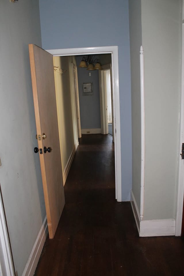 hallway with dark hardwood / wood-style flooring