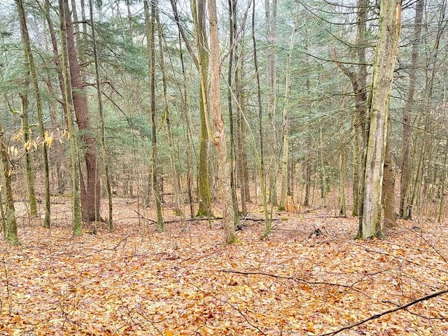 0 Sugar Hill Rd, Beaver Dams NY, 14812 land for sale