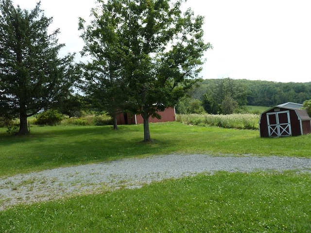 view of yard featuring a storage shed