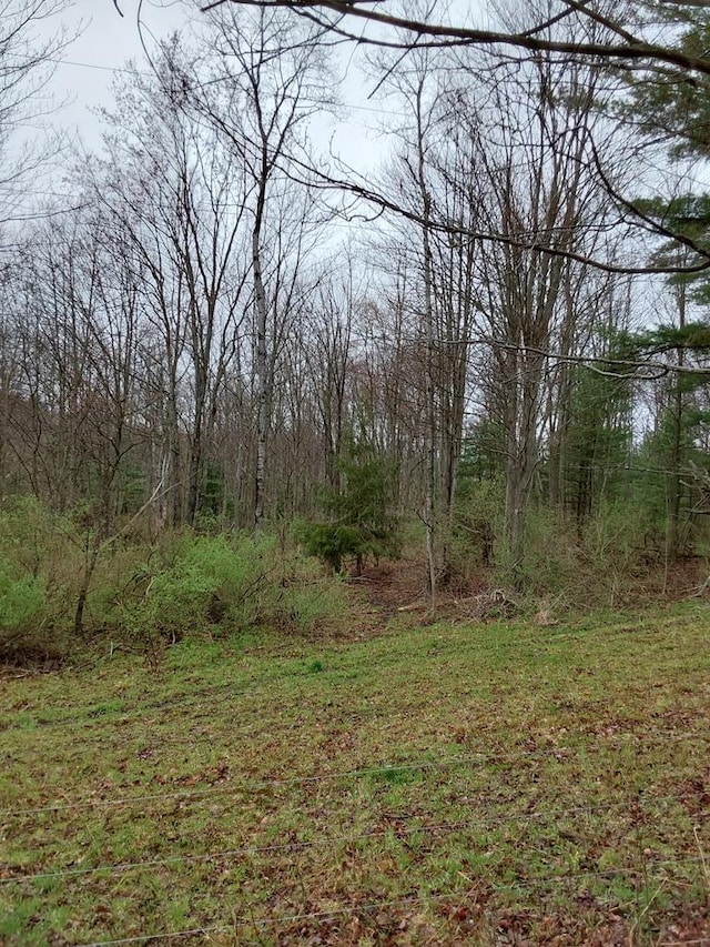 0 Griffin Rd, Campbell NY, 14821 land for sale