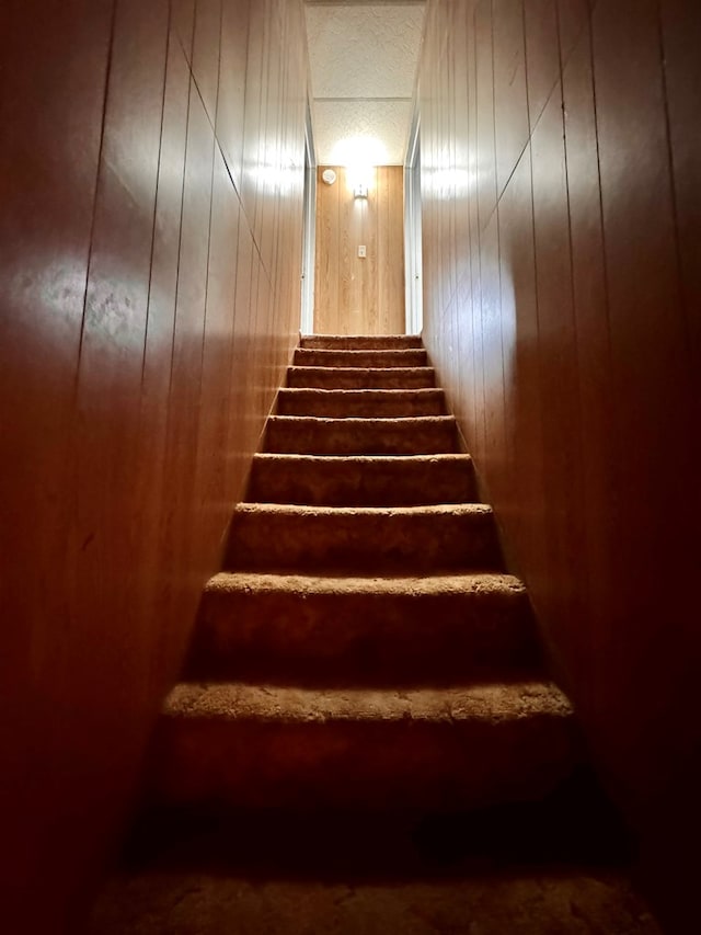 staircase with wood walls