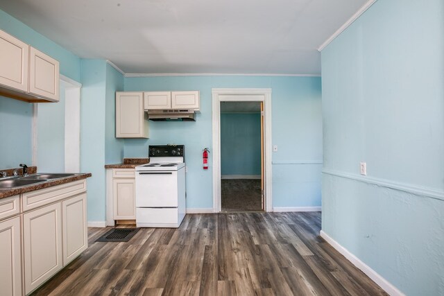 kitchen featuring sink, dark wood-type flooring, electric stove, and crown molding