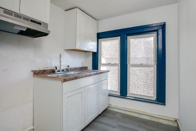 kitchen with white cabinets, wood-type flooring, and sink