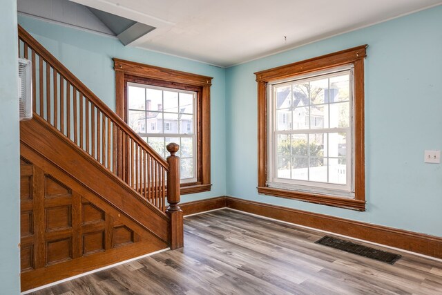 foyer with hardwood / wood-style floors and plenty of natural light