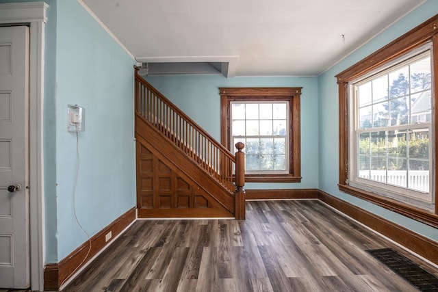 stairway with wood-type flooring and a healthy amount of sunlight