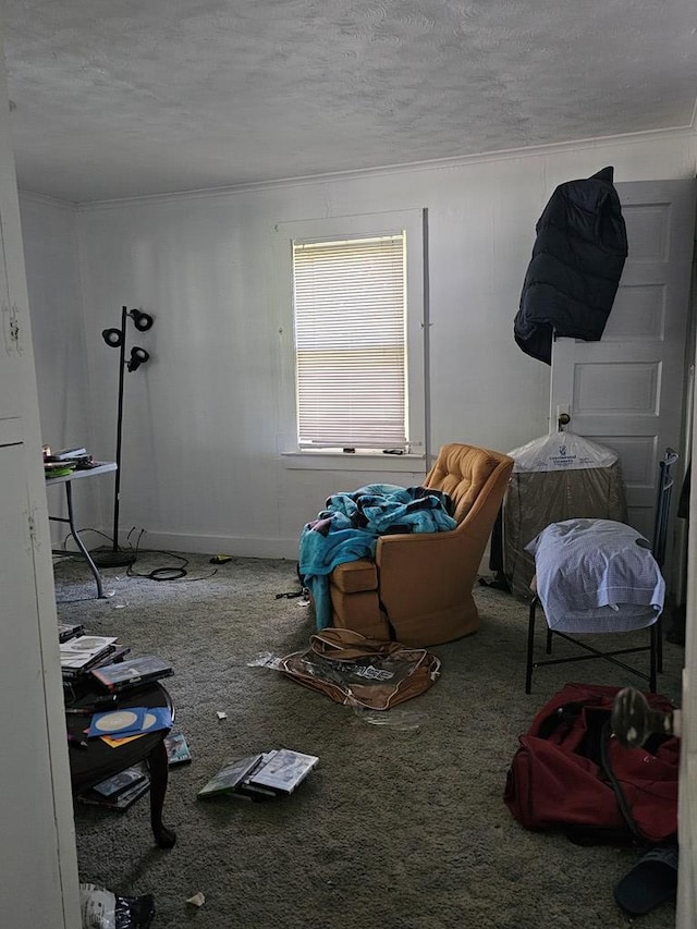 miscellaneous room featuring carpet floors and a textured ceiling