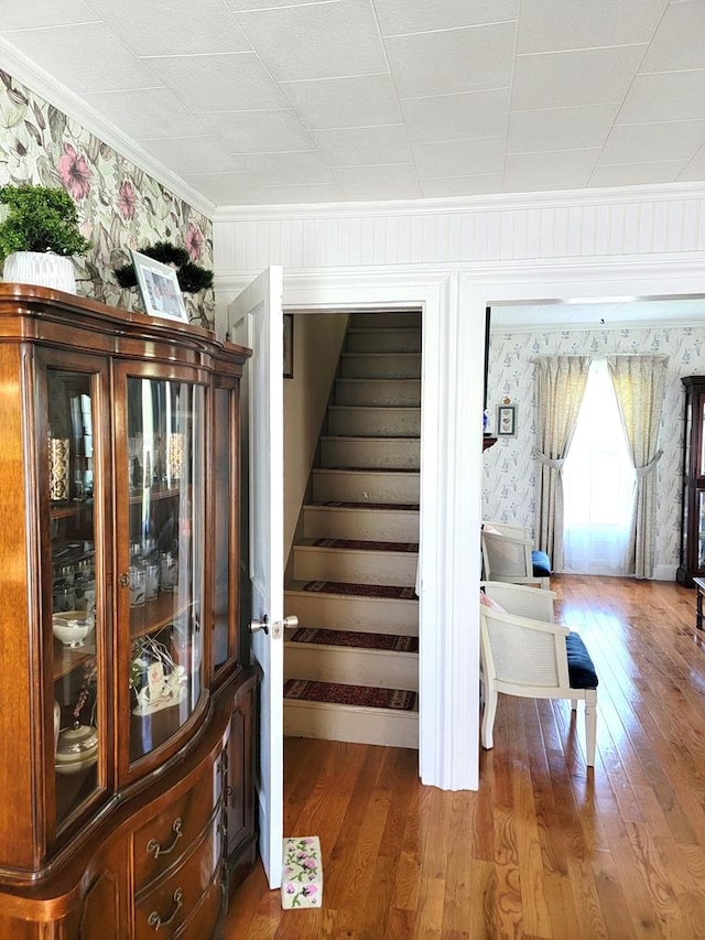 stairway with hardwood / wood-style flooring