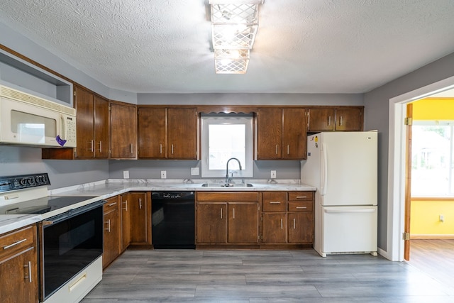 kitchen with a healthy amount of sunlight, light wood-type flooring, white appliances, and sink