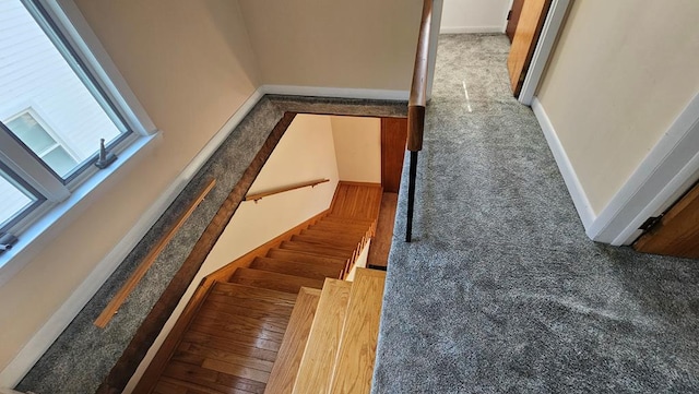 staircase with carpet flooring