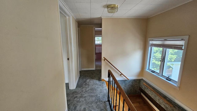 hallway featuring crown molding and dark colored carpet