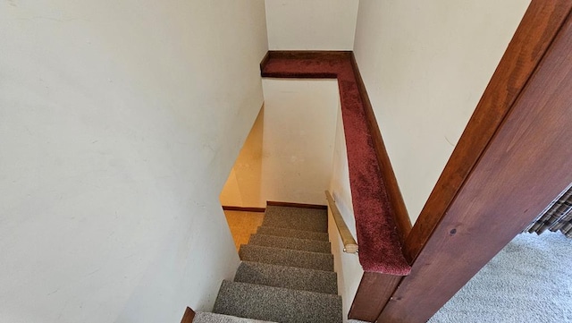 stairway featuring carpet floors