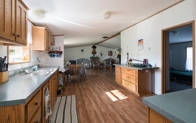 kitchen with a textured ceiling, dark hardwood / wood-style floors, and sink