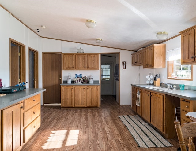 kitchen with crown molding, a textured ceiling, dark hardwood / wood-style flooring, and lofted ceiling