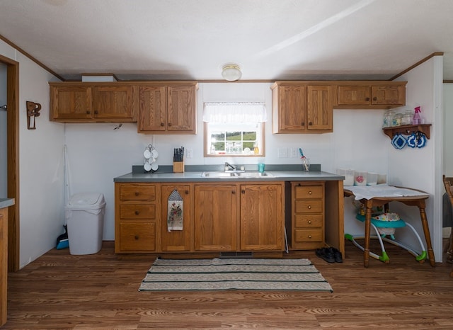 kitchen with ornamental molding, dark hardwood / wood-style flooring, sink, and a textured ceiling