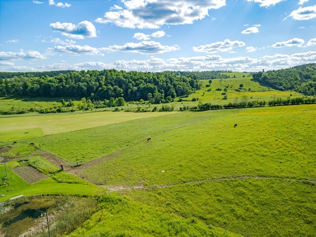 exterior space featuring a rural view