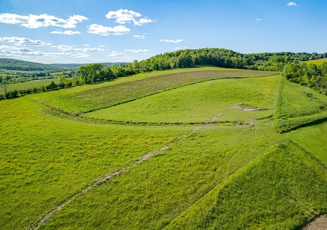 surrounding community featuring a lawn and a rural view